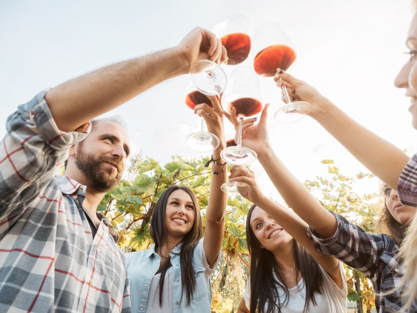 Vineyard Sips: Family Winery Tour & Gourmet Tasting in Corfu - Getting to the winery near Lefkimmi
