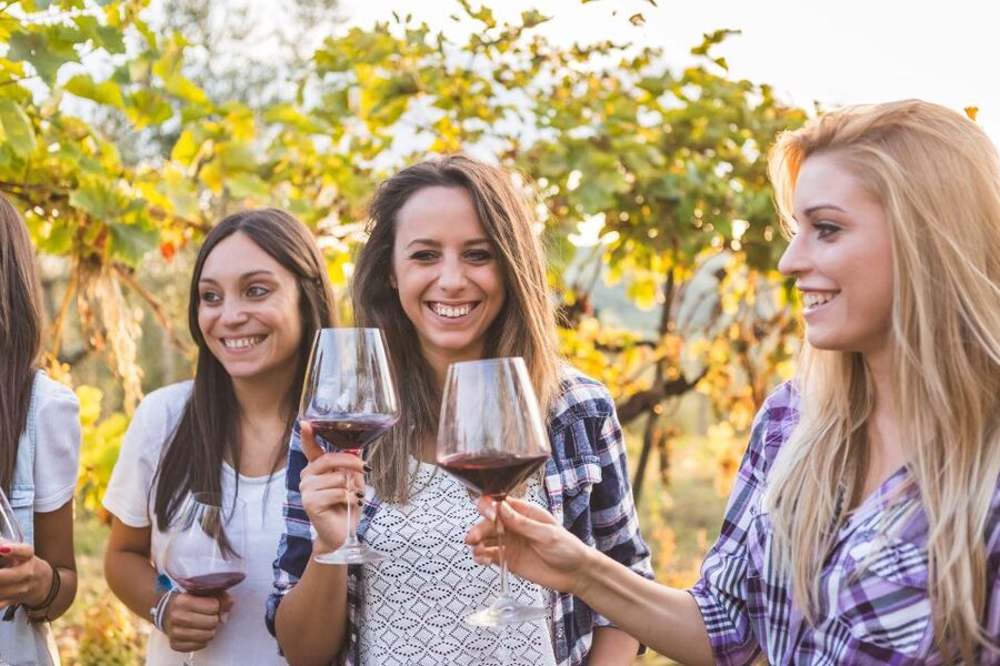 Vineyard Sips: Family Winery Tour & Gourmet Tasting in Corfu - Booking, cancellation, and timing