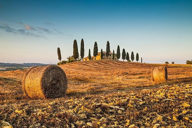 Walking Food Tour of Florence with Tastings and Wine - Wine pairings that make the meal more useful