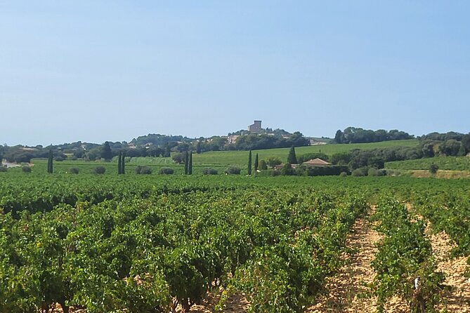 Wine Tasting Tour at Châteauneuf du Pape - Gordana, Erik, and the value of a strong guide