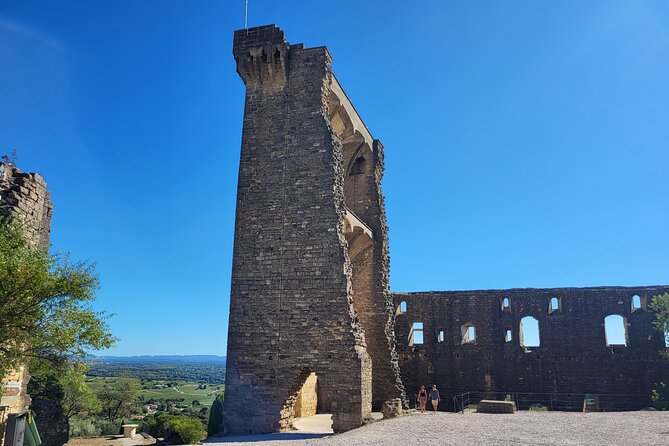Wine Tasting Tour at Châteauneuf du Pape - What could disappoint you