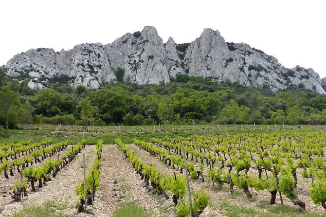 Wine Tasting Tour at Châteauneuf du Pape - Who will enjoy this most?